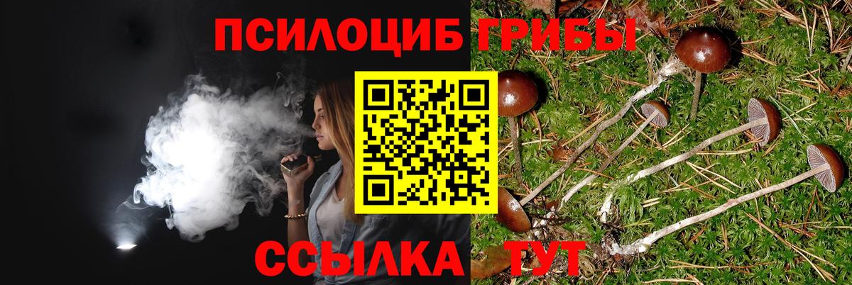 Галлюциногенные грибы ЛСД  Галлюциногенные грибы Cubensis  Саянск  Вход с VPN 
